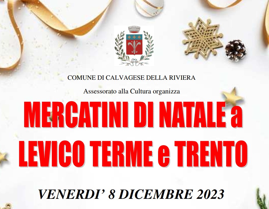 Mercatini di natale a levico terme e trento